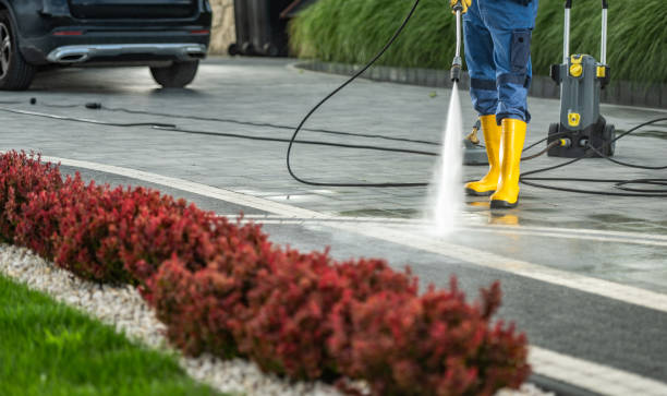 Best Affordable Pressure Washing  in Greenwood, DE