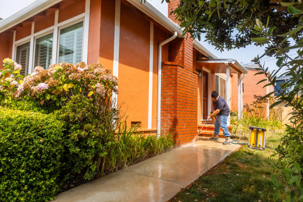 Best House Pressure Washing  in Greenwood, DE